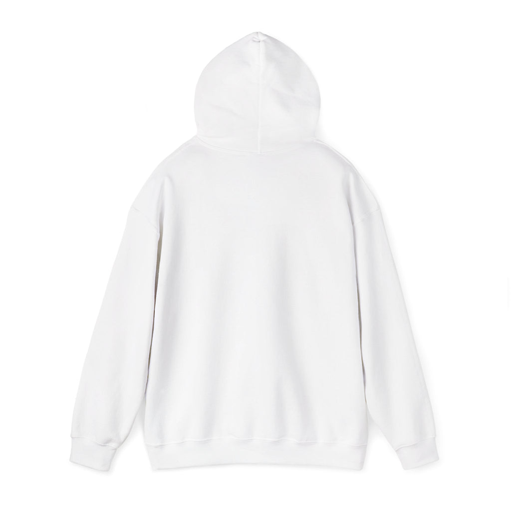 Pray More Worry Less Hoodie – Philippians 4:6–7 Christian Sweatshirt
