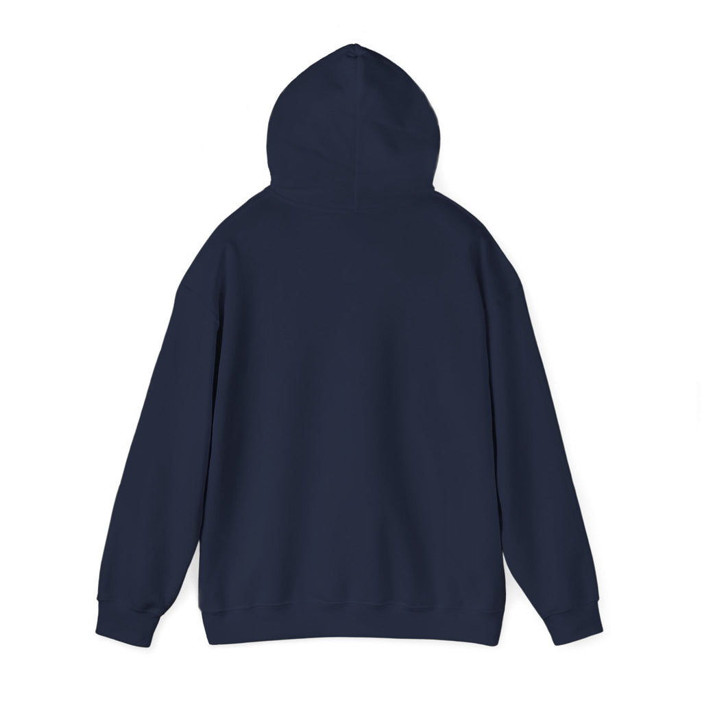 Pray More Worry Less Hoodie – Philippians 4:6–7 Christian Sweatshirt