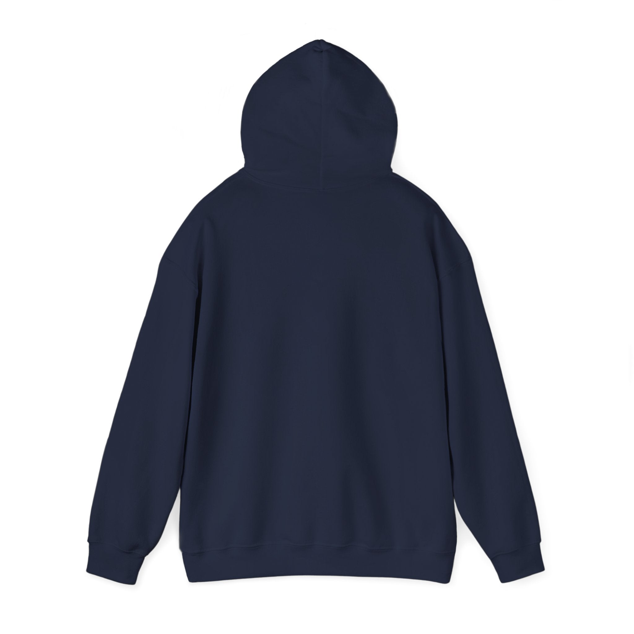 Pray More Worry Less Hoodie – Philippians 4:6–7 Christian Sweatshirt