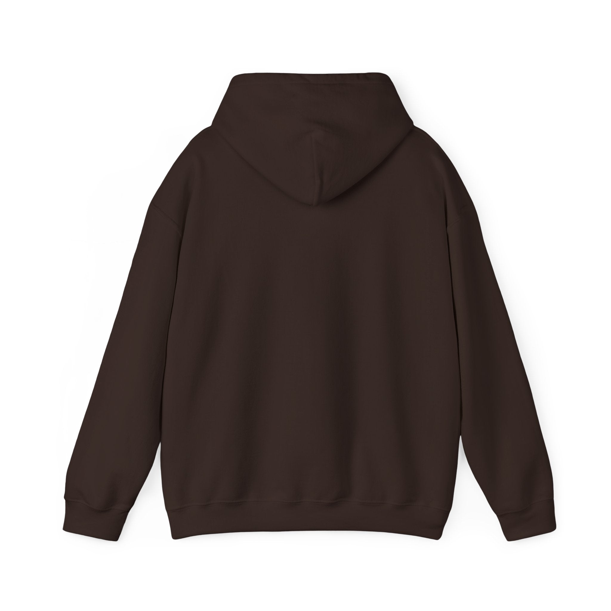 Pray More Worry Less Hoodie – Philippians 4:6–7 Christian Sweatshirt