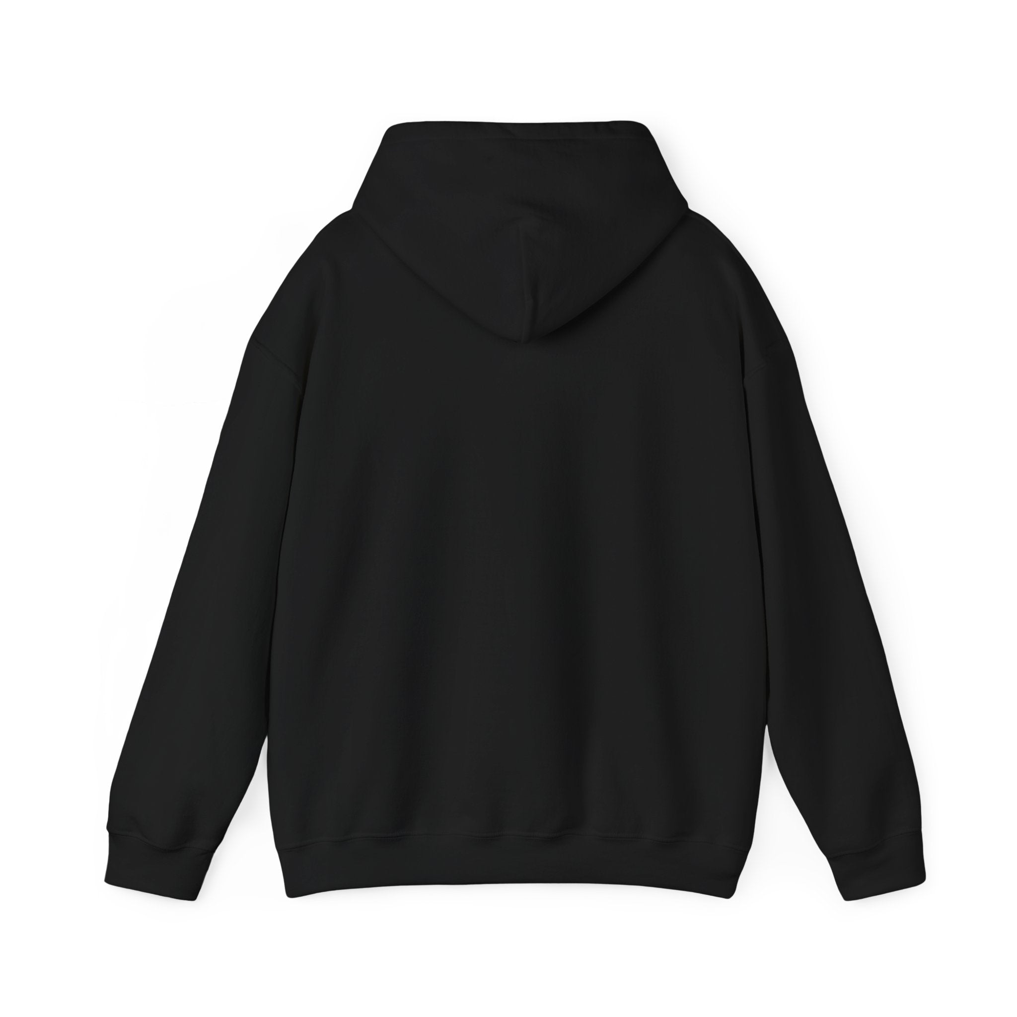 Pray More Worry Less Hoodie – Philippians 4:6–7 Christian Sweatshirt