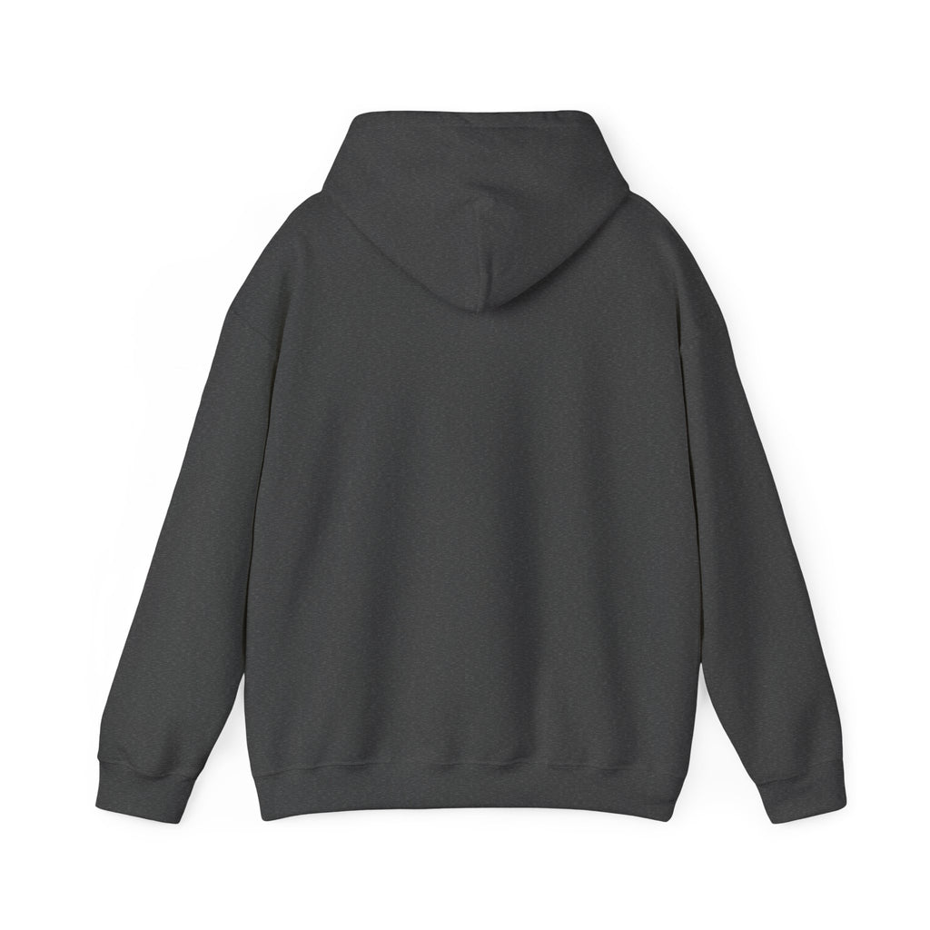 Pray More Worry Less Hoodie – Philippians 4:6–7 Christian Sweatshirt