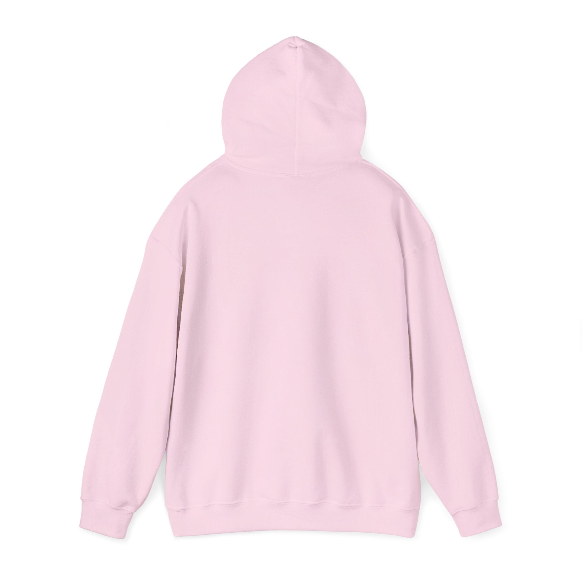 Pray More Worry Less Hoodie – Philippians 4:6–7 Christian Sweatshirt
