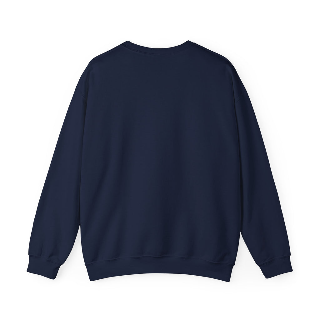 CHOSEN Christian Crewneck Sweatshirt – 1 Peter 2:9 Faith Sweatshirt
