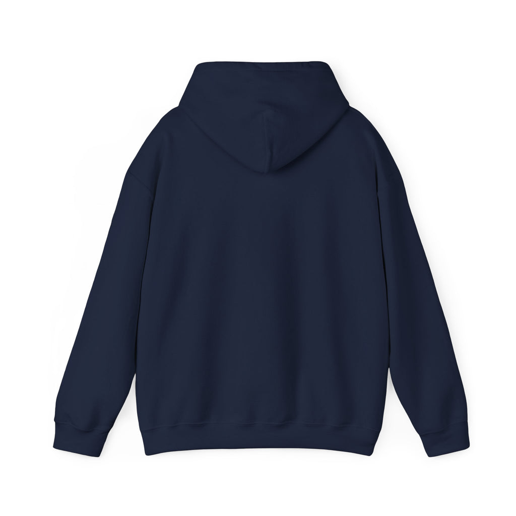Pray More Worry Less Hoodie – Philippians 4:6–7 Christian Sweatshirt