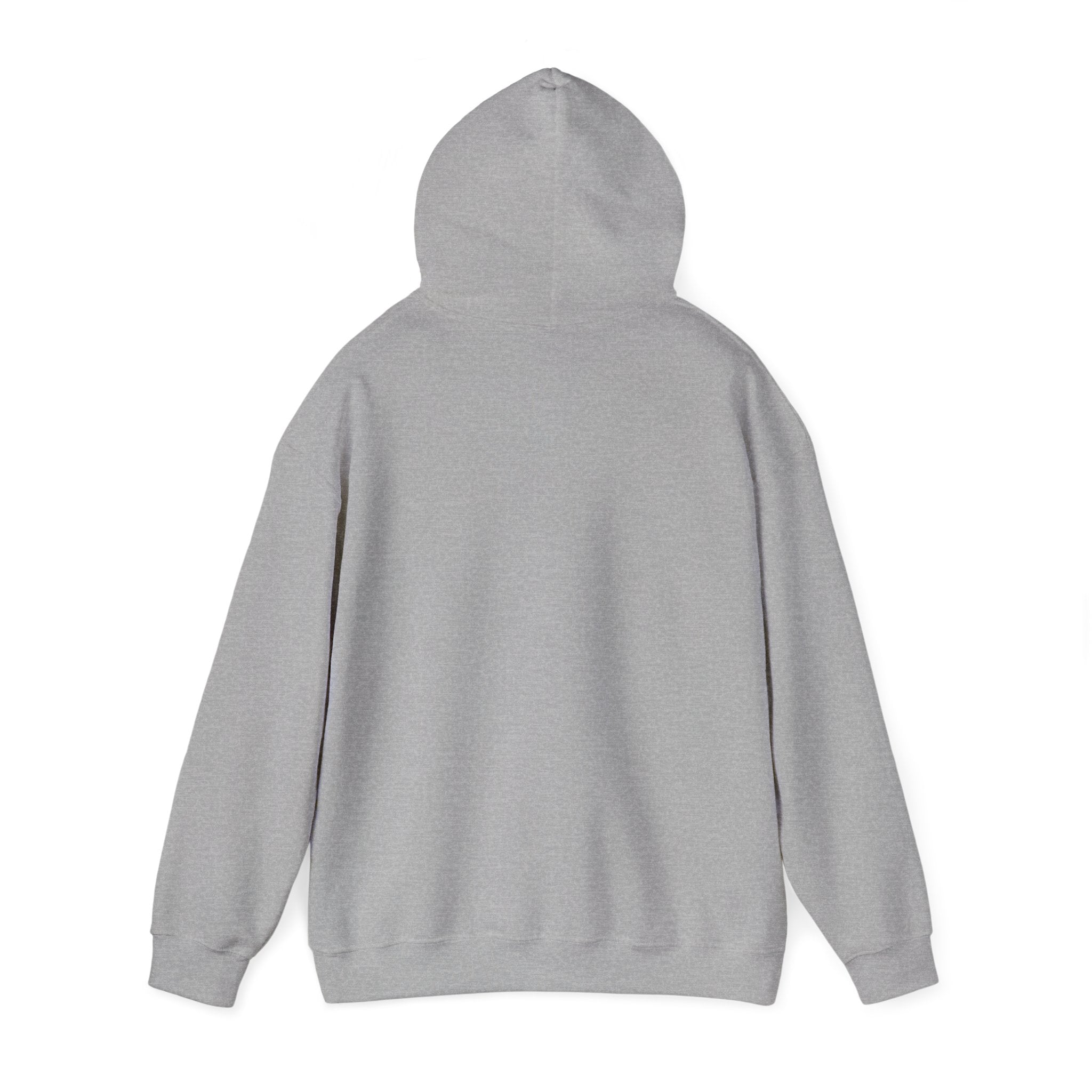 Pray More Worry Less Hoodie – Philippians 4:6–7 Christian Sweatshirt