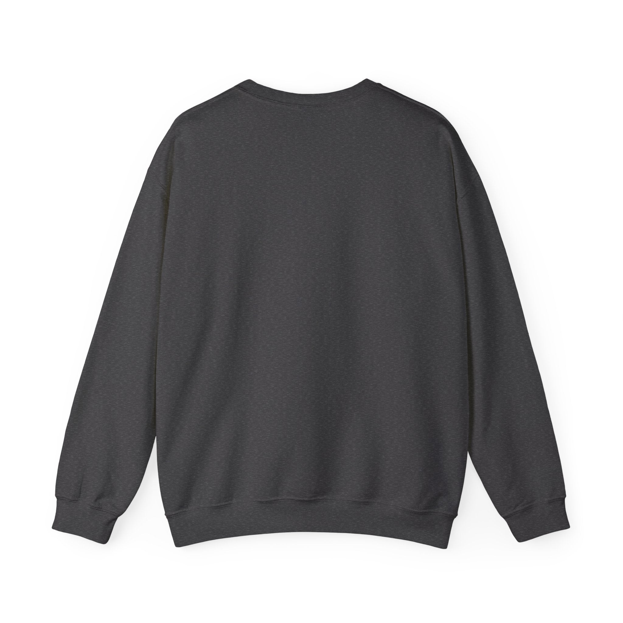 CHOSEN Christian Crewneck Sweatshirt – 1 Peter 2:9 Faith Sweatshirt