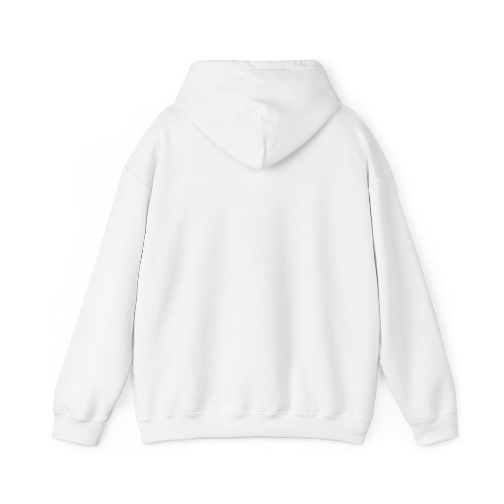 Pray More Worry Less Hoodie – Philippians 4:6–7 Christian Sweatshirt