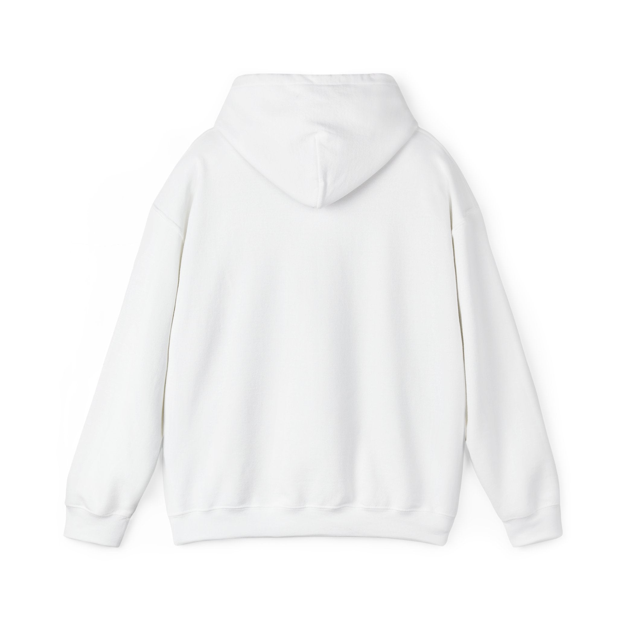 Pray More Worry Less Hoodie – Philippians 4:6–7 Christian Sweatshirt