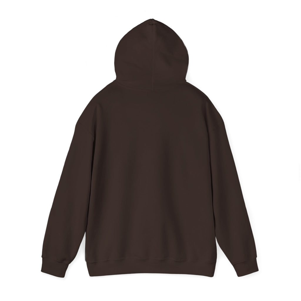Pray More Worry Less Hoodie – Philippians 4:6–7 Christian Sweatshirt